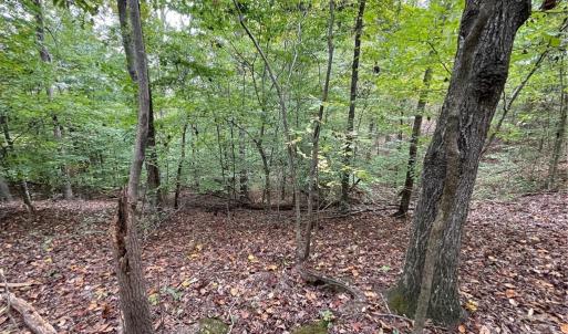 Photo #1 of Lot 296 Oconee, Westminster, SC 0.5 acres