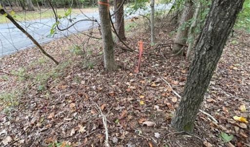 Photo #6 of Lot 296 Oconee, Westminster, SC 0.5 acres