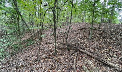 Photo #5 of Lot 296 Oconee, Westminster, SC 0.5 acres