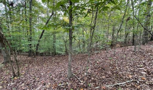 Photo #3 of Lot 296 Oconee, Westminster, SC 0.5 acres