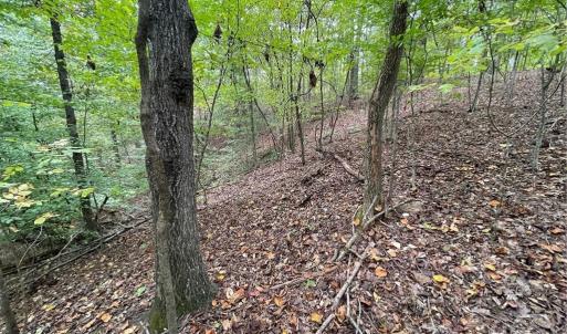 Photo #4 of Lot 296 Oconee, Westminster, SC 0.5 acres
