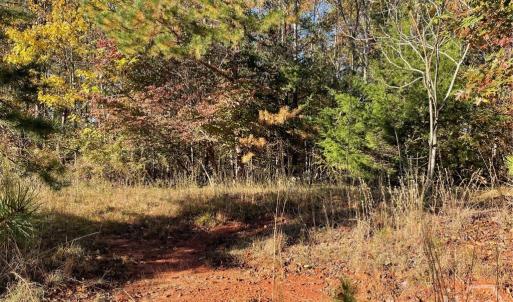 Photo #8 of Lot 87 Foxglove, Westminster, SC 0.3 acres