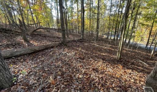 Photo #3 of Lot 87 Foxglove, Westminster, SC 0.3 acres