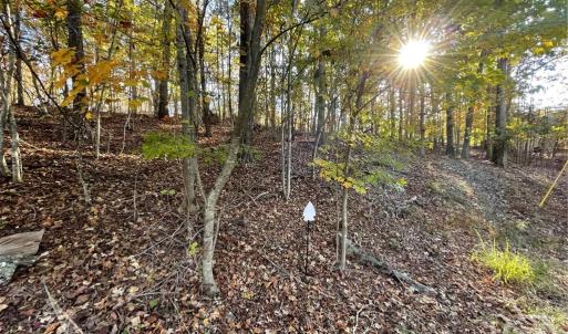 Photo #2 of Lot 87 Foxglove, Westminster, SC 0.3 acres