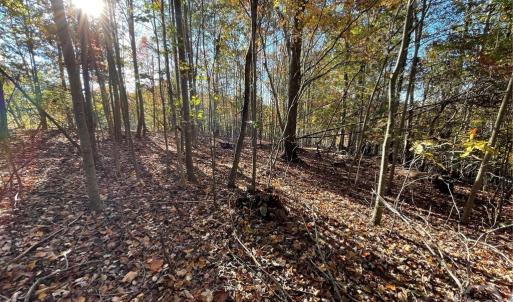 Photo #5 of Lot 87 Foxglove, Westminster, SC 0.3 acres