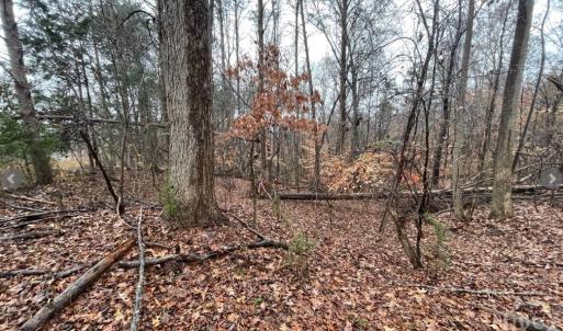Photo #2 of Lot 851 Nicklaus, Westminster, SC 0.3 acres