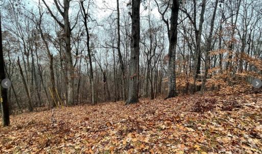 Photo #3 of Lot 2134 Arrowhead, Westminster, SC 0.3 acres