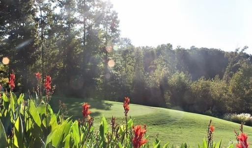Photo #12 of Lot 2134 Arrowhead, Westminster, SC 0.3 acres