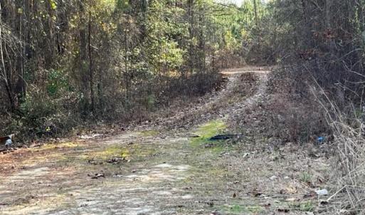 View down easement