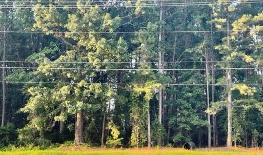 Frontage on Raeford Rd.