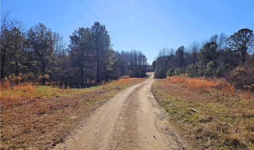 Dragonfly Lane