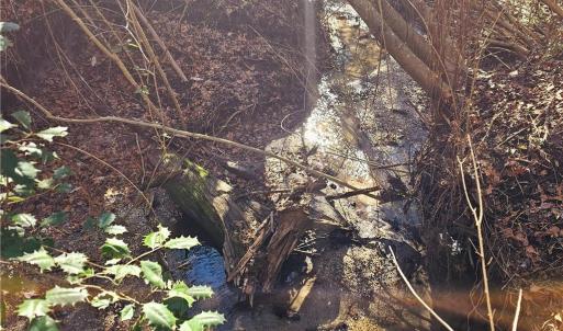 Creek