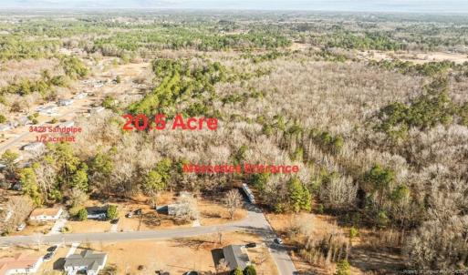 Sandpiper and Mercedes