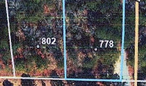778 PONDEROSA TRAIL