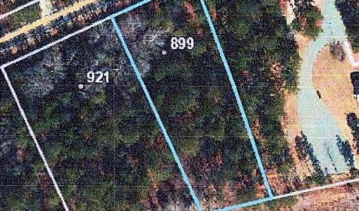 899 PONDEROSA TRAIL