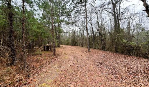 Old Trails / Path