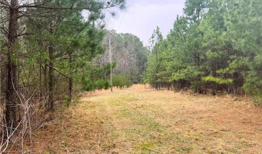 Int View - Power Pole