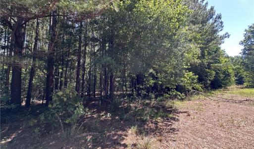 BACK PORTION OF LAND