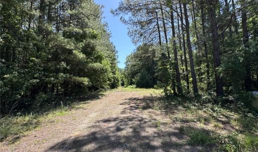 BACK OF LAND