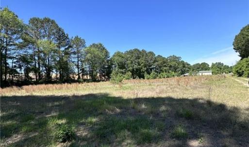 IMAGINE YOUR HORSES OR LIVESTOCK HERE