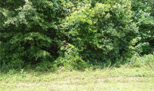 NC 41 HWY S