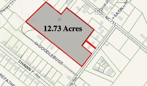 Parcel faces Candy Park road