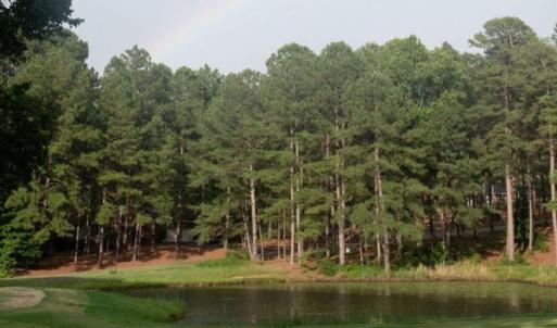 Foxfire Golf Course