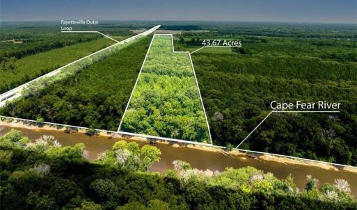 CAPE FEAR RIVER VIEW