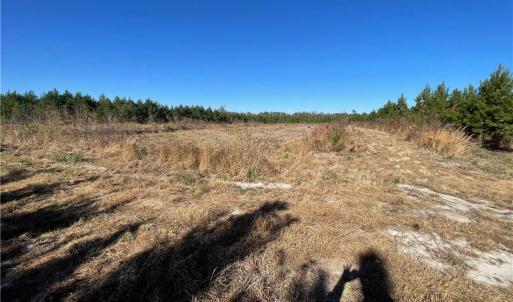 1.2 acre Duck Impoundment