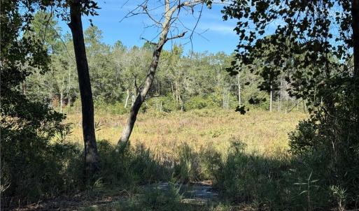 where lake/pond was and can be restored