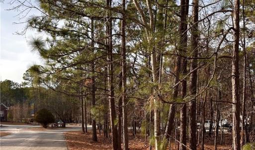 Street view of lot from right side