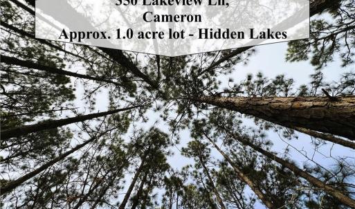 1 acre Wooded Homesite - Canopy View