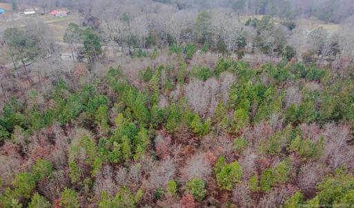 Above view from rear