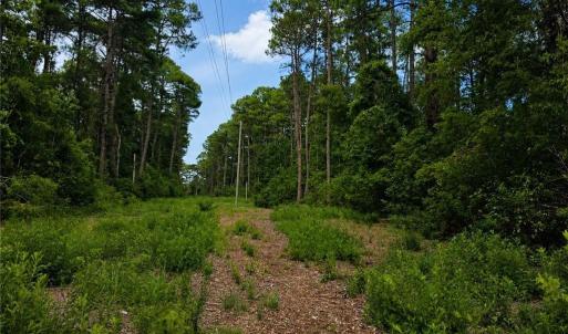 easement