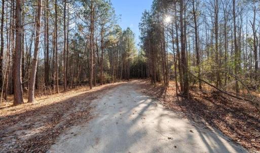 Olde North Lot 9 - 9.5 ACRES