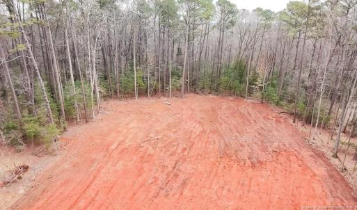 View into Cleared Portion.