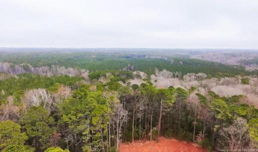 View toward the Wooded Portion