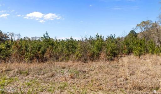 TRACT 2SCHOLL ROAD LAND - 15+ ACRES