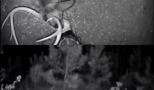 TRACT 2SCHOLL ROAD LAND - 15+ ACRES