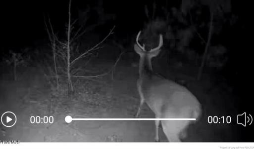 TRACT 2SCHOLL ROAD LAND - 15+ ACRES