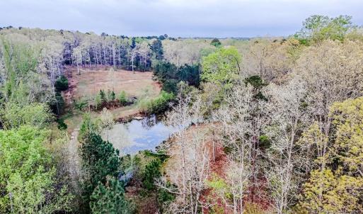 Aerial View from cul-de-sac