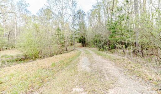 Driveway toward cul-de-sac