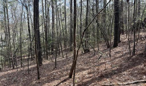 Slope toward Corner of Blue Yonder