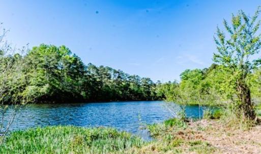 Beautiful Waterfront Views