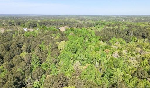 Canopy view of acreage