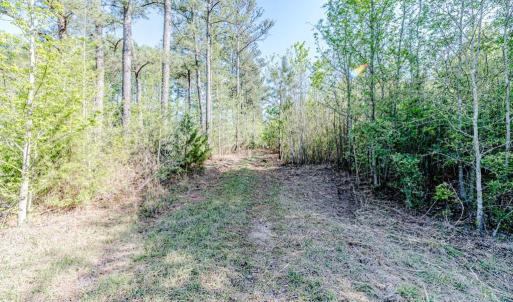 Pathway View thru acreage