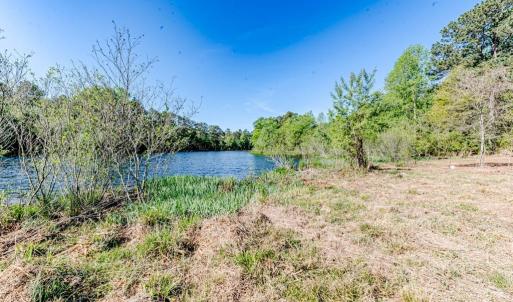 Recently mulched area towared pond.