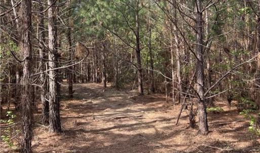 Add'l Pathway View