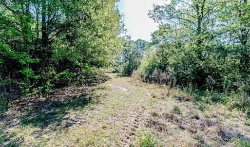 Pathway to opening