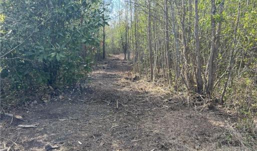 Add'l Pathway View